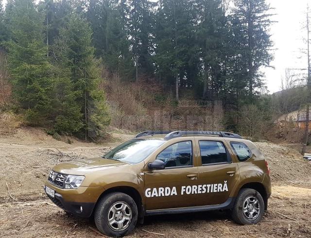 Garda Forestiera Suceava