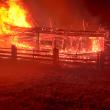 Pagube foarte mari în urma unui incendiu care ar fi fost provocat de rozătoare