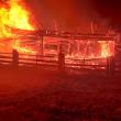 Pagube foarte mari în urma unui incendiu care ar fi fost provocat de rozătoare