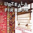Țesături de interior din Oltenia și Bucovina, expuse în Casa Ostra din Muzeul Satului Bucovinean