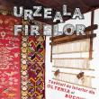 Țesături de interior din Oltenia și Bucovina, expuse în Casa Ostra din Muzeul Satului Bucovinean