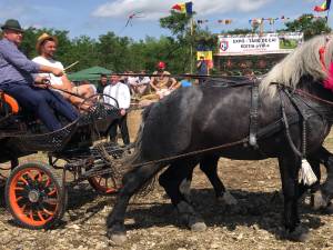 Comuna Marginea a găzduit cel mai mare târg de cai din regiunea Moldovei, la care au participat zeci de crescători din toată țara