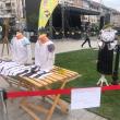 Ziua Universală a Iei a fost marcată în centrul Sucevei printr-o expoziție de costume populare