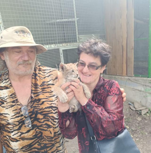 Doi pui de râs, noua atracție a colțului zoologic deschis de Dorin Șoimaru la Zaharești