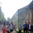 Arca lui Noe, noul colț zoologic deschis de Dorin Șoimaru la Zaharești