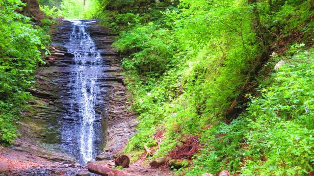 Cascada Bursuc de la Putna, ”Urlătoarea” cu mult mai puțin cunoscută, dar la fel de frumoasă