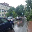 Copac rupt în municipiul Suceava