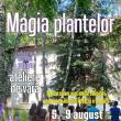 Magia plantelor, atelier pentru copii