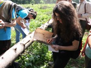 Implicare feminina in domeniul silvic, in  cadrul proiectului Fem2forests