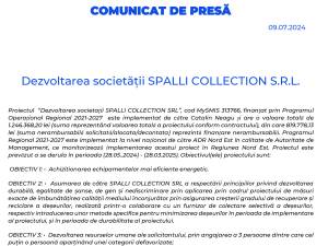 Dezvoltarea societății SPALLI COLLECTION S.R.L.