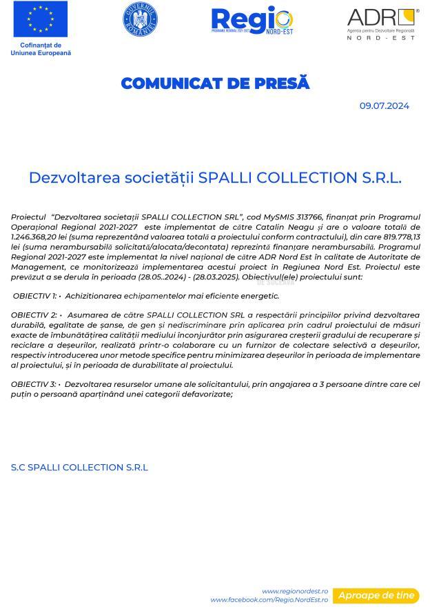 Dezvoltarea societății SPALLI COLLECTION S.R.L.