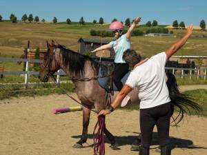 Centrul de hipoterapie și educație Equestrian Dreams