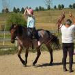 Centrul de hipoterapie și educație Equestrian Dreams