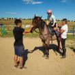 Centrul de hipoterapie și educație Equestrian Dreams