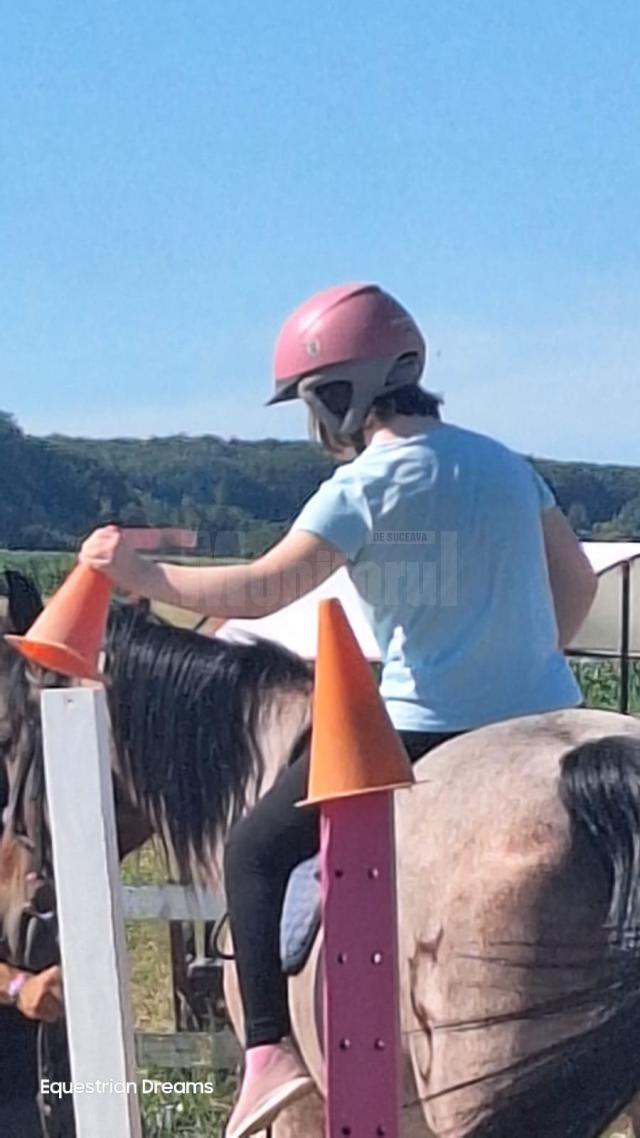 Centrul de hipoterapie și educație Equestrian Dreams