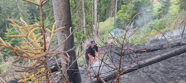 Un incendiu de la trăsnet a pus în pericol pădurea, în zona de munte