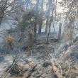 Un incendiu de la trăsnet a pus în pericol pădurea, în zona de munte