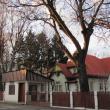 Paznic de la Căminul pentru persoane vârstnice Rădăuți, accidentat grav după ce o poartă ...