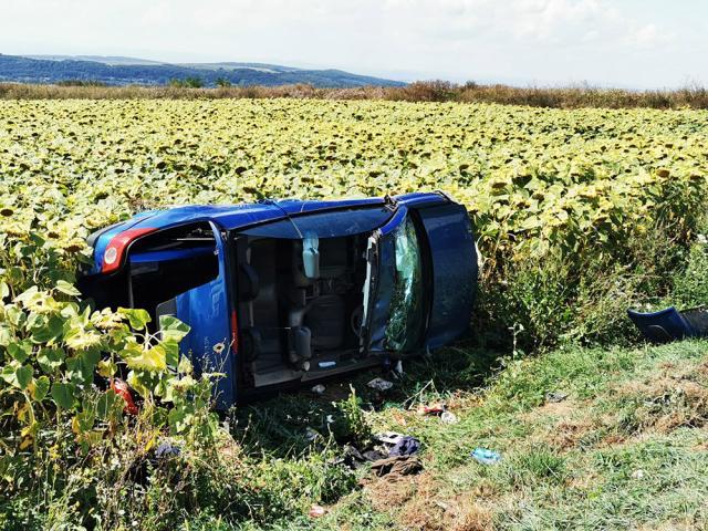 În mașina condusă de tânărul din Rădăuți s-au găsit droguri