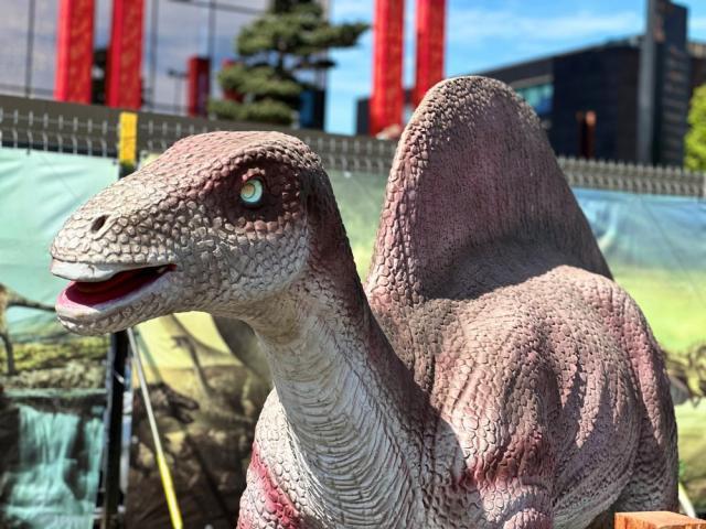 Expoziție de animale marine gigant și dinozauri animatronici, în parcarea Iulius Mall Suceava