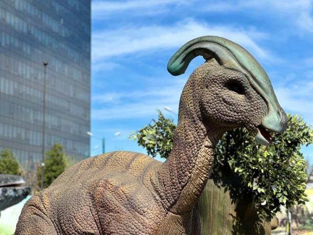 Expoziție de animale marine gigant și dinozauri animatronici, în parcarea Iulius Mall Suceava