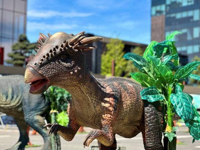 Expoziție de animale marine gigant și dinozauri animatronici, în parcarea Iulius Mall Suceava