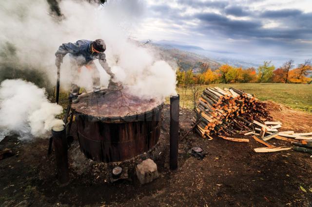 Fotografia trimisă de Sveduneac Dorin Lucian la concursul foto organizat de ASFOR