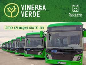 Vinerea verde TPL Suceava