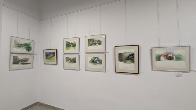 Expoziția de pictură și grafică adusă la Suceava de artiștii Gabriela Drăghici și Ion Drăghici, dedicată înotătorului David Popovici