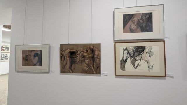 Expoziția de pictură și grafică adusă la Suceava de artiștii Gabriela Drăghici și Ion Drăghici, dedicată înotătorului David Popovici