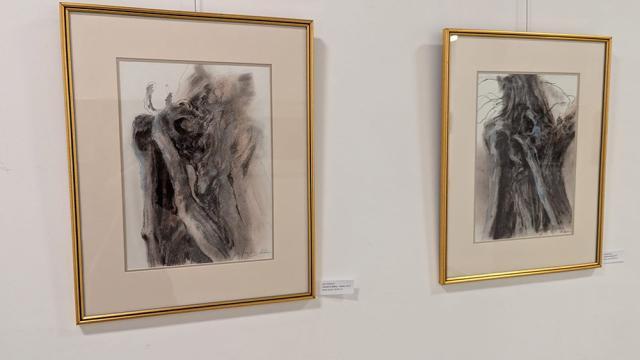 Expoziția de pictură și grafică adusă la Suceava de artiștii Gabriela Drăghici și Ion Drăghici, dedicată înotătorului David Popovici