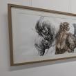 Expoziția de pictură și grafică adusă la Suceava de artiștii Gabriela Drăghici și Ion Drăghici, dedicată înotătorului David Popovici