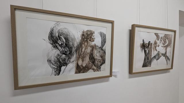 Expoziția de pictură și grafică adusă la Suceava de artiștii Gabriela Drăghici și Ion Drăghici, dedicată înotătorului David Popovici