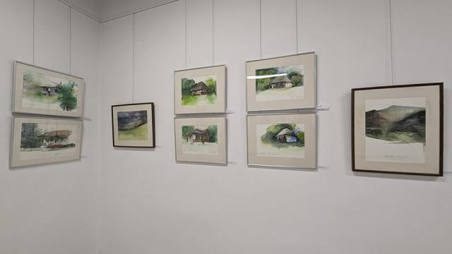 Expoziția de pictură și grafică adusă la Suceava de artiștii Gabriela Drăghici și Ion Drăghici, dedicată înotătorului David Popovici