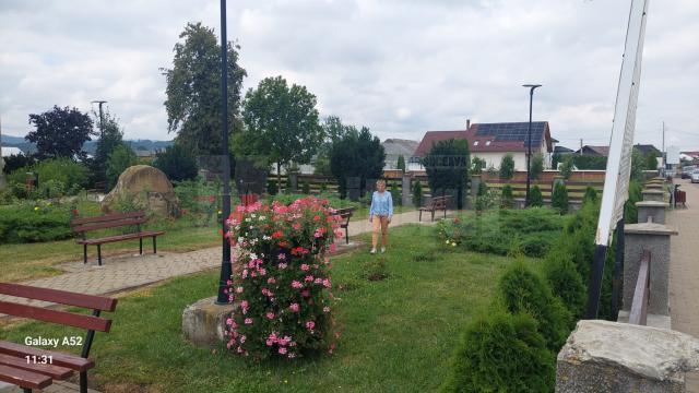 Ruinele catedralei Catolice puse în valoare la Baia