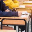 Eminescu sau Bacovia, pentru elevii de la real, Arghezi sau Stănescu, la uman, la ...