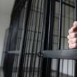 La 71 de ani, arestat pentru că și-a înjunghiat fiul în față