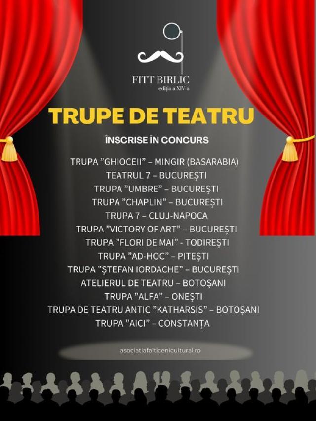 Festivalul Internațional de Teatru pentru Tineret „Grigore Vasiliu Birlic”