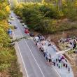 Troiță amplasată în pădurea Adâncata, la locul numit „Podul Călugărului”, sfințită, sâmbătă, de un sobor de preoți, în prezența ctitorilor Foto Casian Mitu