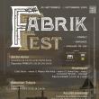 ,,Fabrik Fest” aduce la Rădăuți și în zone limitrofe concerte de muzică clasică, în spații neconvenționale