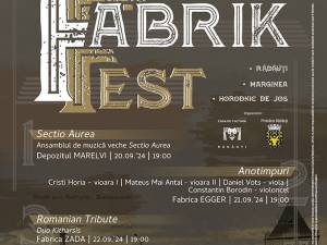 ,,Fabrik Fest” aduce la Rădăuți și în zone limitrofe concerte de muzică clasică, în spații neconvenționale