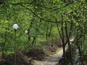 Parcul Șipote