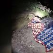 Polițiștii de frontieră au confiscat la Ulma țigări de contrabandă de peste 64.000 de lei