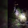 Polițiștii de frontieră au confiscat la Ulma țigări de contrabandă de peste 64.000 de lei