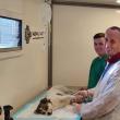 Campanie gratuită de sterilizare a câinilor, la Ipotești