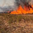 Cinci hectare cu vegetație uscată și pădure au ars la Solca