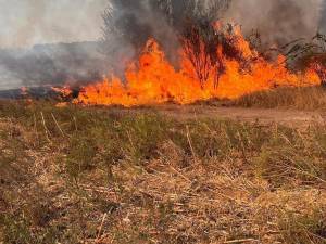 Incendiu vegetație (foto generic)