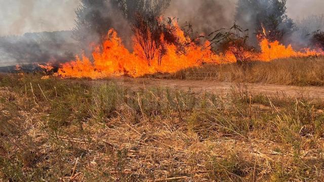 Incendiu vegetație (foto generic)