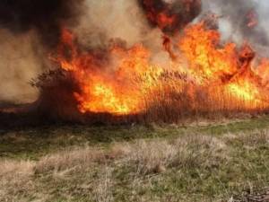 Incendiu de vegetaţie. Foto: adevărul.ro