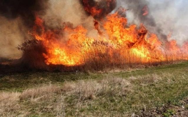 Incendiu de vegetaţie. Foto: adevărul.ro